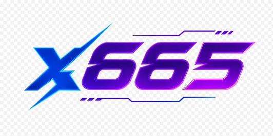 x665